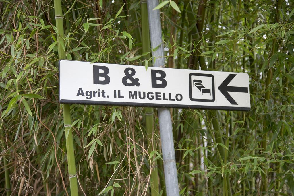 Il Mugello B&B Vicchio Esterno foto