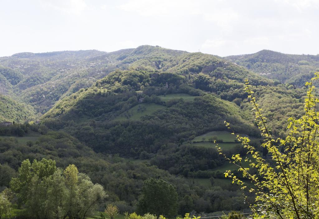 Il Mugello B&B Vicchio Esterno foto