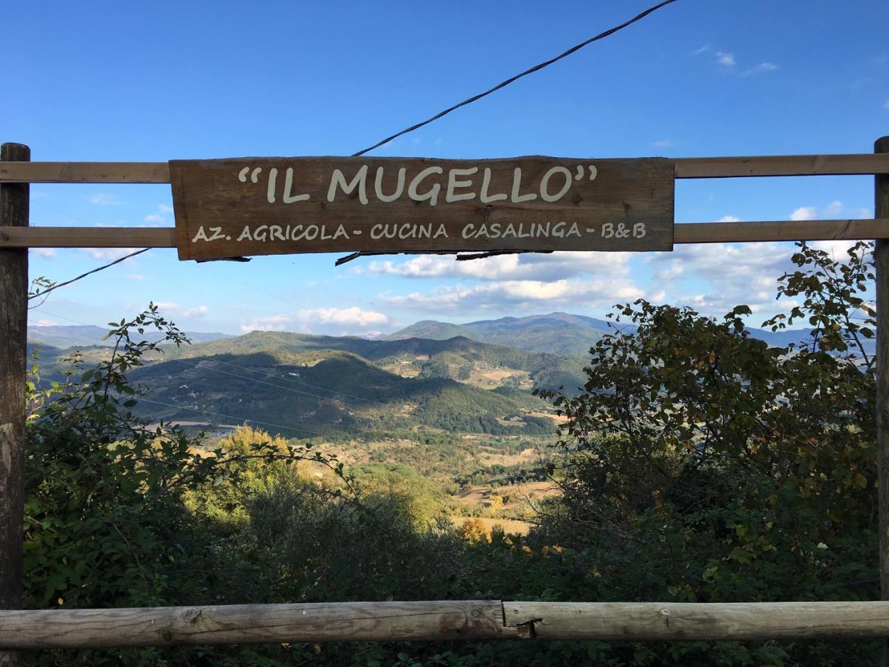 Il Mugello B&B Vicchio Esterno foto